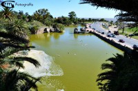 /album/grmfotografia/a196482-138778086268683-2128461307-n-jpg1/