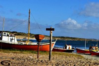 /album/grmfotografia/a263909-138783662934792-1838260734-n-jpg1/