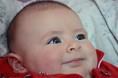 /album/photo-book-alfonsina-esteves/a185062-138844952928663-933351776-n-jpg/