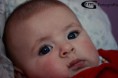 /album/photo-book-alfonsina-esteves/a483027-138841449595680-36754785-n-jpg/