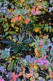 /album/love-the-world/a402966-135407446605747-770683612-n-jpg/